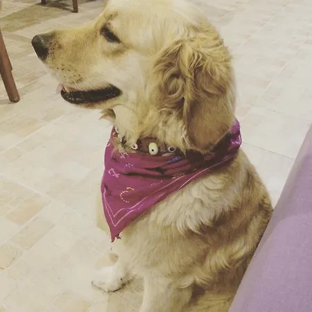 Aparthotel Sun Apart Guvercinlik (Bodrum)