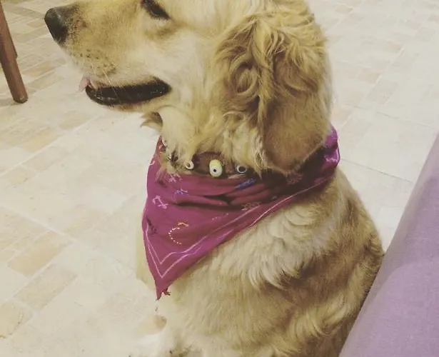 Apartmanhotel Sun Apart Guvercinlik